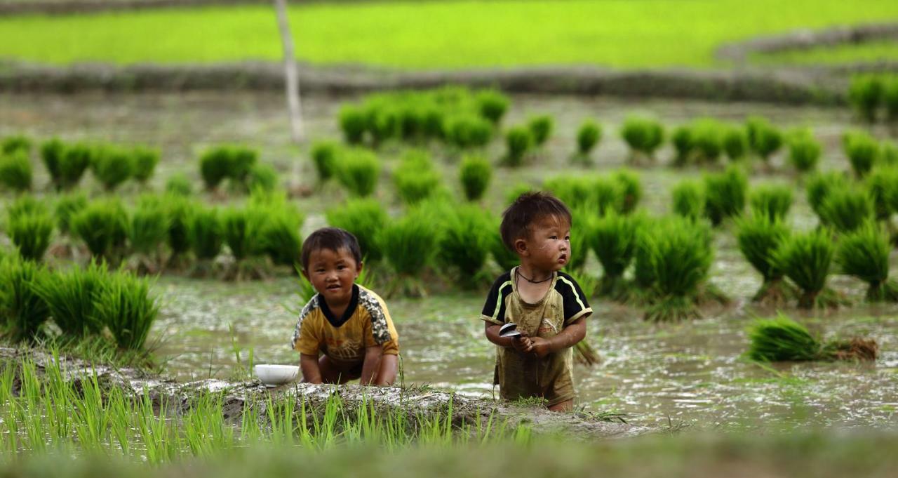 Mu Cang Chai Eco Lodge Nam San Exterior photo